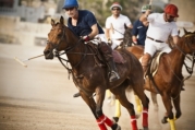 Equestrian Festival 2011 – Sunday, 5th June 2011